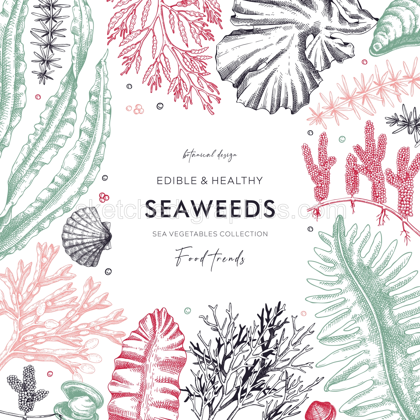 Seaweed Vintage Frame Card Invitation Illustration